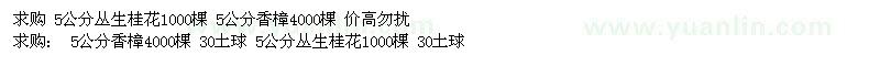 求購 5公分叢生桂花 5公分香樟 