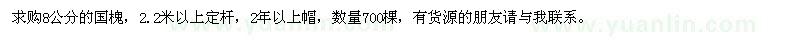 求購國槐