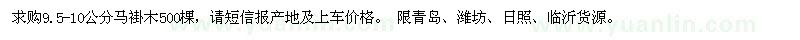 求購9.5-10公分馬褂木500棵 