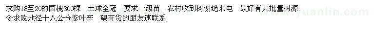 求購國槐、紫葉李