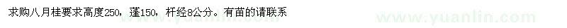 求購八月桂要求高度250