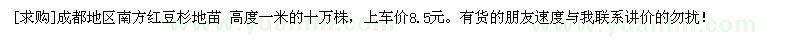 求購(gòu)南方紅豆杉地苗 高度一米的十萬(wàn)株