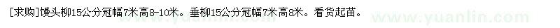 求購饅頭柳15公分、垂柳15公分