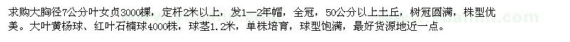求購大葉女貞、大葉黃楊球、紅葉石楠球