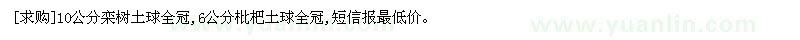 求購10公分欒樹土球全冠,6公分枇杷土球全冠