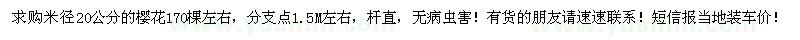 求購米徑20公分的櫻花