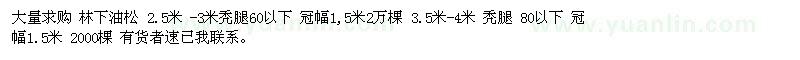 求購林下油松 2.5米-3米禿腿60以下 