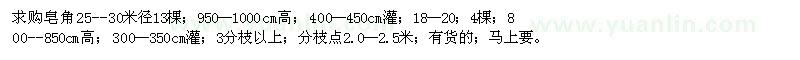 求購皂角25--30米徑13棵 