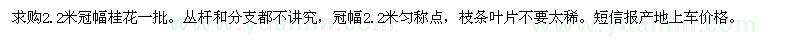 求購2.2米冠幅桂花一批