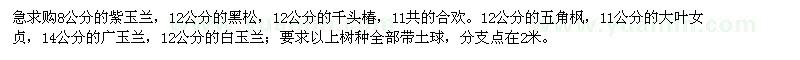 求購紫玉蘭,廣玉蘭,白玉蘭,黑松,五角楓,合歡等