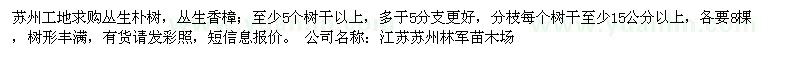 求購叢生樸樹，叢生香樟