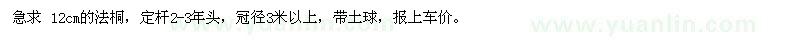 求購 12cm的法桐，定桿2-3年頭