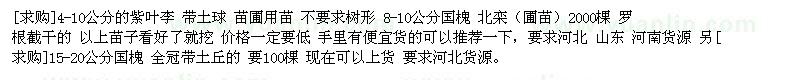 求購4-10公分的紫葉李 8-10公分國槐 北欒