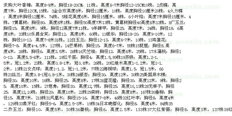 求購大葉香樟 金合歡 桂花 黃葛樹 廣玉蘭 羊蹄甲 樂昌含笑 