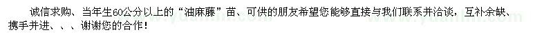 求購(gòu)一年生60公分以上的油麻藤苗