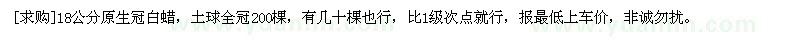 求購18公分原生冠白蠟，土球全冠200棵