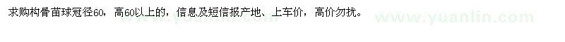 求購構(gòu)骨苗球冠徑60