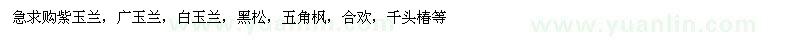 求購(gòu)紫玉蘭，廣玉蘭，白玉蘭，黑松，五角楓，合歡，千頭椿等
