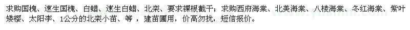 求購(gòu)國(guó)槐、速生國(guó)槐、白蠟、速生白蠟、北欒、要求裸根截干；
