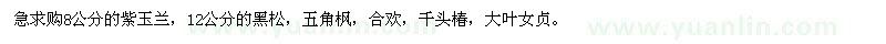 求購(gòu)急紫玉蘭，廣玉蘭，白玉蘭，黑松，五角楓，合歡，千頭椿，大葉女貞