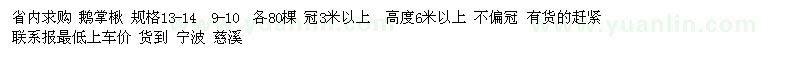 求購鵝掌楸