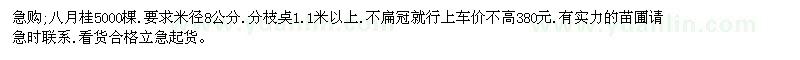 求購(gòu)八月桂5000棵