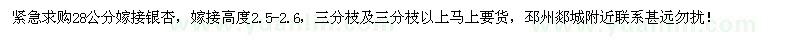 求購(gòu)緊急28公分嫁接銀杏