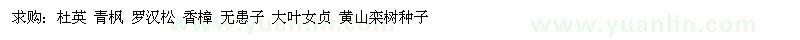 求購(gòu)杜英 青楓 羅漢松 香樟 無(wú)患子 大葉女貞 黃山欒樹(shù)種子