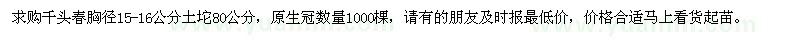 求購千頭春胸徑15-16公分土坨80公分