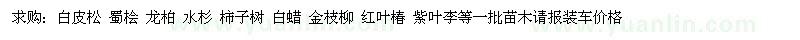 求購(gòu)白皮松 蜀檜 龍柏 水杉 柿子樹 白蠟 金枝柳 紅葉椿 紫葉