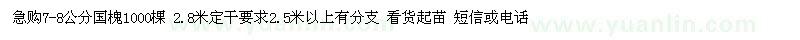 求購7-8公分國槐1000棵 2.8米定干