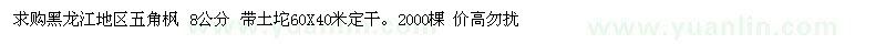 求購黑龍江地區(qū)五角楓