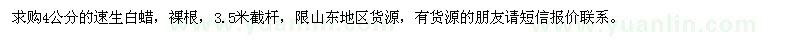 求購(gòu)速生白蠟