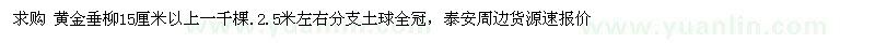 求購(gòu) 黃金垂柳