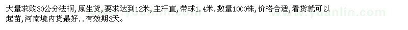 求購(gòu)大量30公分法桐,原生貨,要求達(dá)到12米