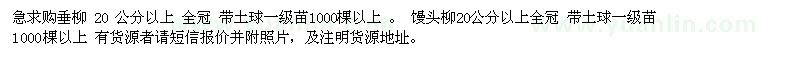 求購急垂柳 20 公分以上 饅頭柳20公分以上
