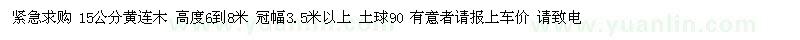 求購 15公分黃連木