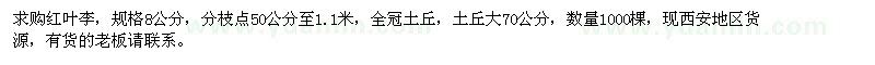 求購(gòu)紅葉李，規(guī)格8公分