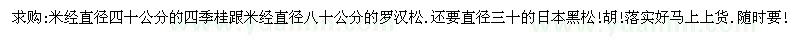 求購(gòu)四季桂 羅漢松. 日本黑松