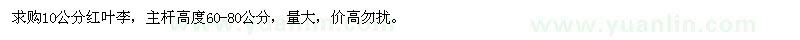 求購10公分紅葉李