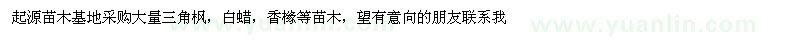 求購三角楓,白蠟,香櫞