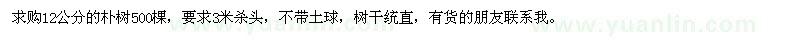 求購12公分的樸樹