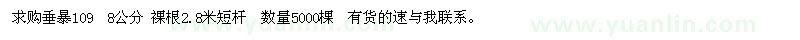 求購(gòu)垂暴109 8公分 裸根2.8米短桿  數(shù)量5000棵