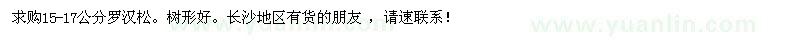 求購(gòu)15-17公分羅漢松