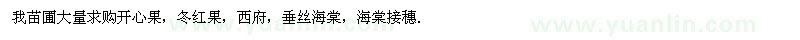 求購開心果、海棠接穗，冬紅果，西府，垂絲海棠