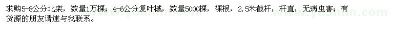求購北欒、復葉槭