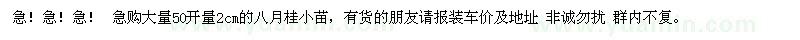 求購(gòu)急！急！ 大量50開(kāi)量2cm的八月桂小苗