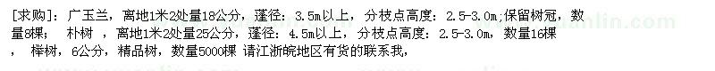 求購(gòu)廣玉蘭 櫸樹
