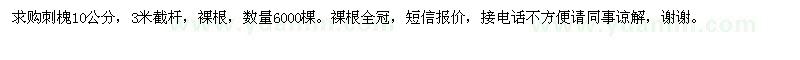 求購刺槐10公分