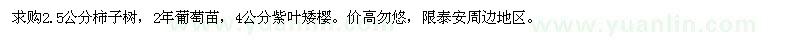 求購2.5公分柿子樹，2年葡萄苗，4公分紫葉矮櫻